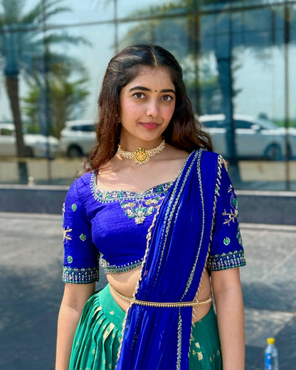 Georgette peacock theme Lehenga