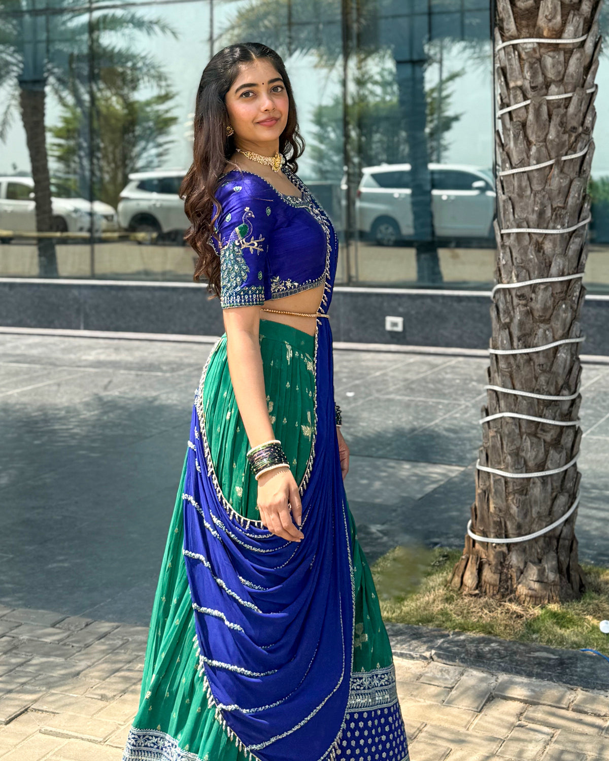 Georgette peacock theme Lehenga